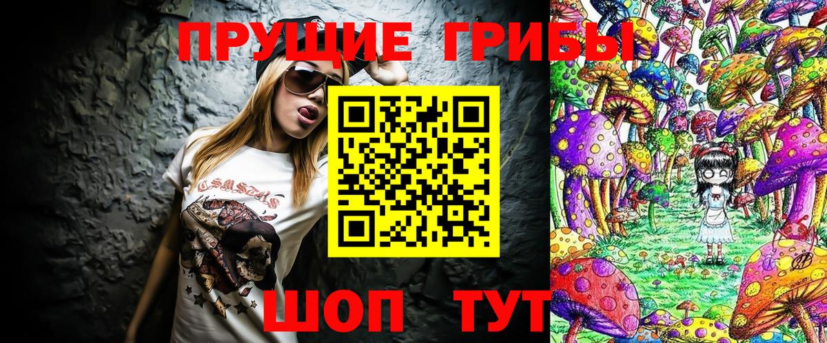 Ишимбай  Галлюциногенные грибы Psilocybine cubensis  Вход с VPN 